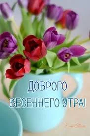 Без названия (40).webp