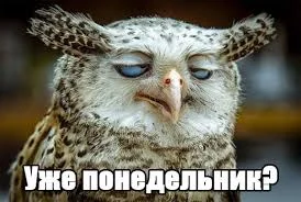Без названия (41).webp