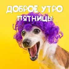 Без названия (42).webp