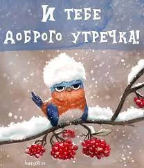 Без названия (5).webp