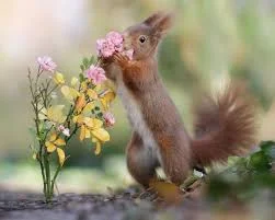 Без названия (5).webp