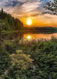 Без названия (5).webp