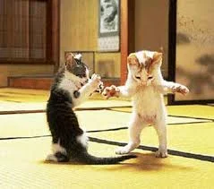 Без названия (5).webp