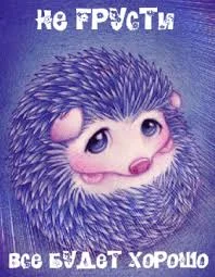 Без названия (5).webp