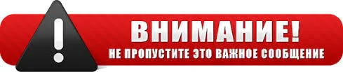 Без названия (5).webp