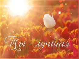 Без названия (5).webp