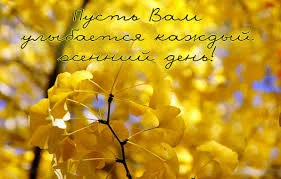 Без названия (5).webp