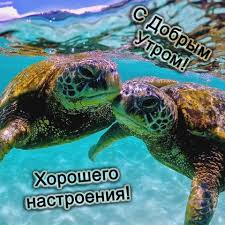 Без названия (58).jpeg