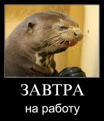 Без названия (58).webp