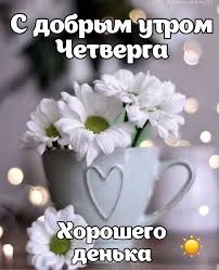 Без названия (59).webp