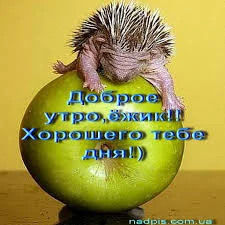 Без названия (59).webp