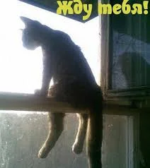 Без названия (6).webp