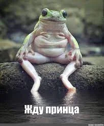 Без названия (6).webp