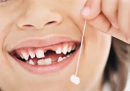 Без названия (6).webp