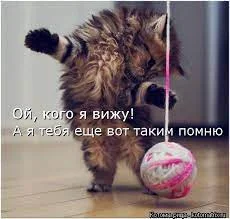 Без названия (6).webp