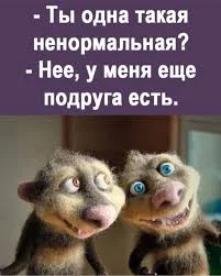 Без названия (6).webp