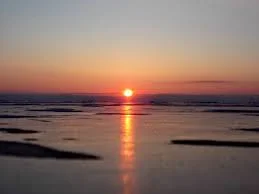 Без названия (6).webp