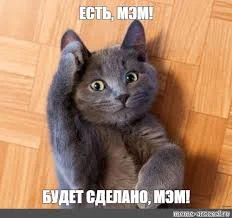 Без названия (6).webp