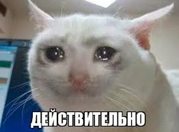 Без названия (6).webp