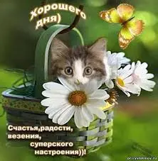 Без названия (6).webp