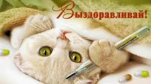 Без названия (6).webp