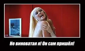 Без названия (6).webp