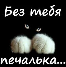 Без названия (6).webp