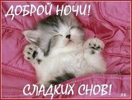 Без названия (6).webp