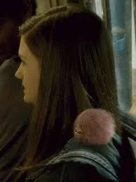 Без названия (7).webp