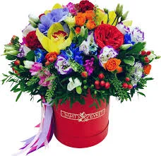 Без названия (7).webp