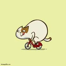 Без названия (8).webp