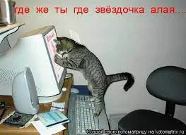 Без названия (8).webp