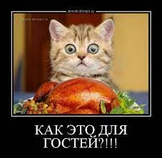 Без названия (8).webp