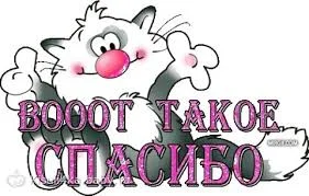 Без названия (8).webp