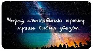 Без названия (8).webp