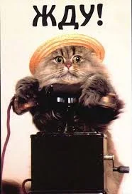 Без названия (8).webp