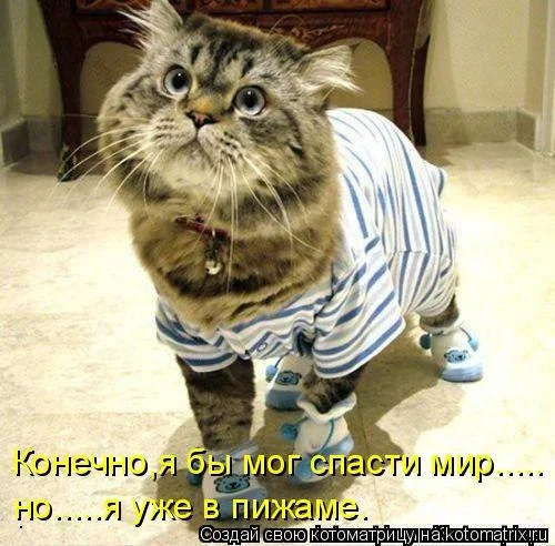 Без названия (8).webp