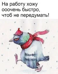 Без названия (8).webp