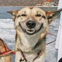 Без названия (9).webp