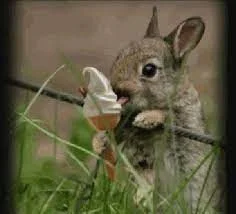 Без названия (9).webp