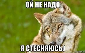 Без названия (9).webp