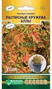 Без названия (9).webp