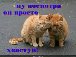 Без названия (9).webp