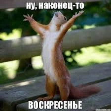 Без названия (9).webp