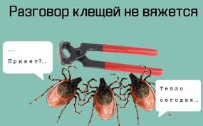 Без названия.jpeg