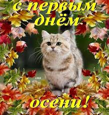 Без названия.jpeg