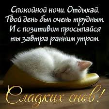 Без названия.jpeg