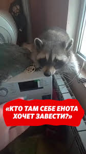 Без названия.jpeg