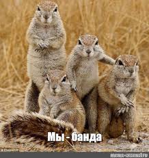 Без названия.jpeg