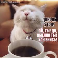 Без названия.jpeg